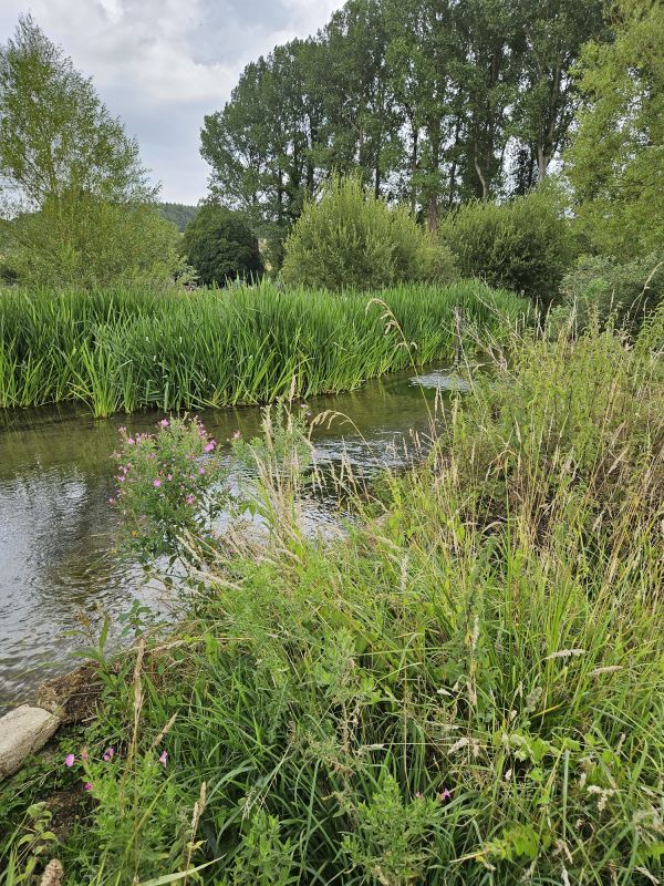 River Chess